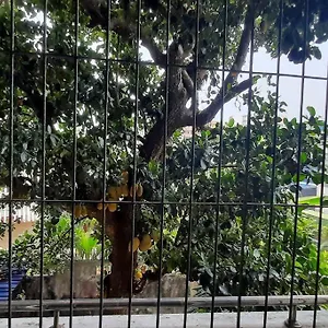 Apartment Classy Nook One Bedroom With Facilities Colombo