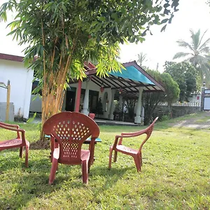 Green Garden